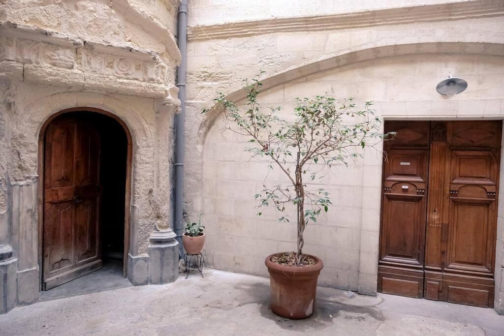 Noa - Mont Piete Studio Intramuros - أفينيون المظهر الخارجي الصورة